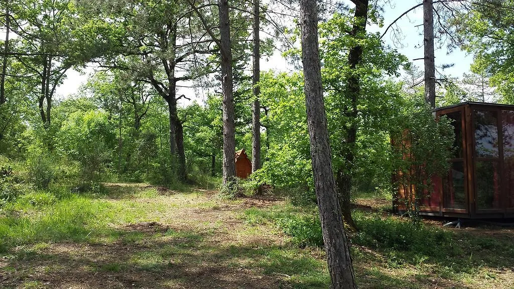 Campsite Agricampeggio Madonna Di Pogi Bucine