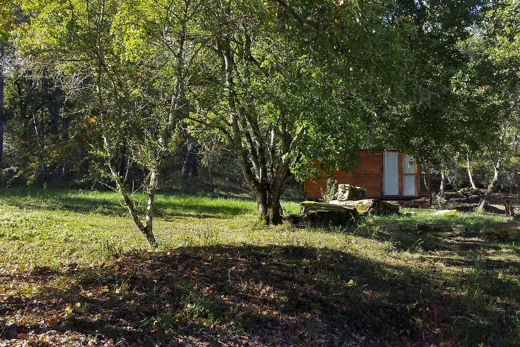 Agricampeggio Madonna Di Pogi Bucine