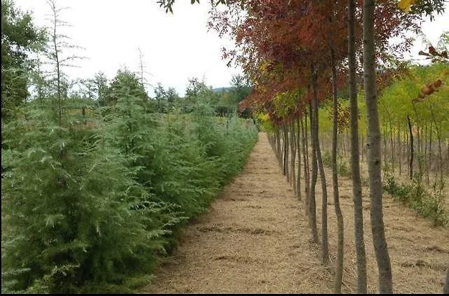 Agricampeggio Madonna Di Pogi Bucine Italie